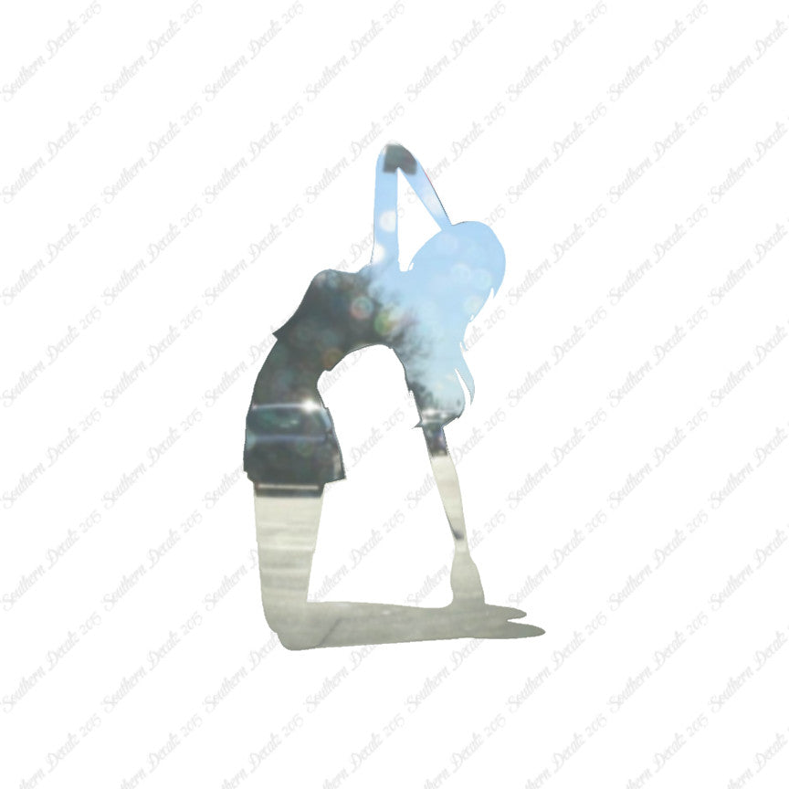 Yoga Meditation Camel