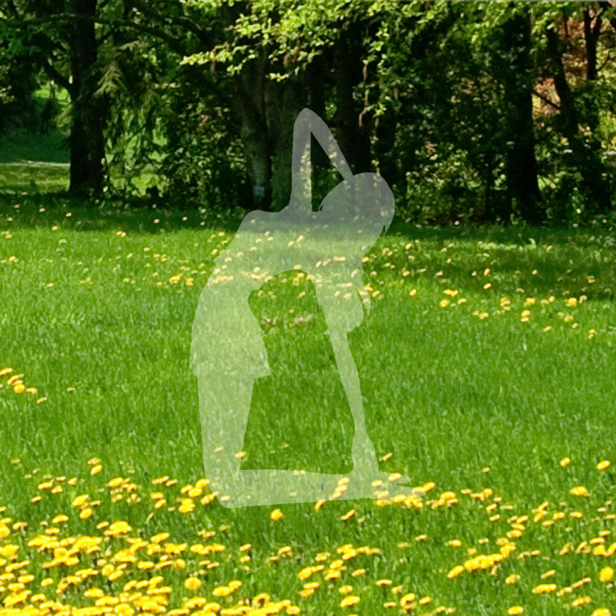Yoga Meditation Camel