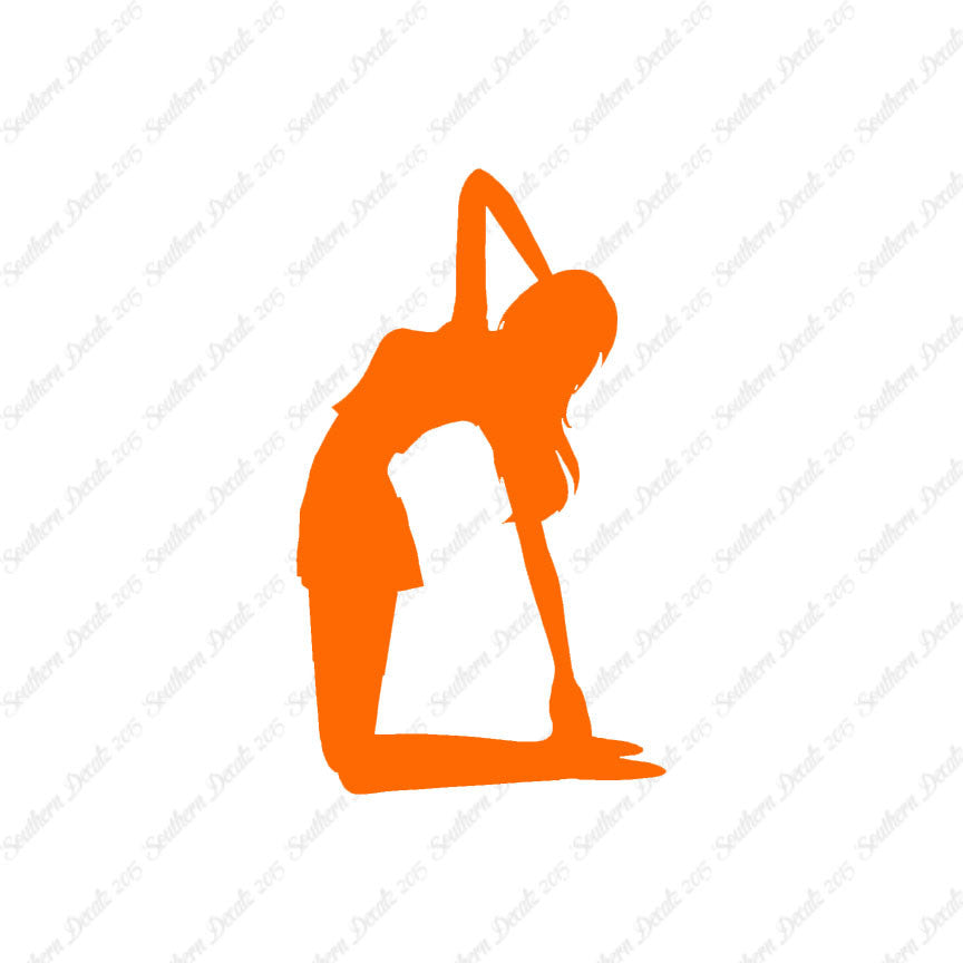 Yoga Meditation Camel