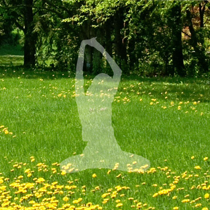 Yoga Stretch Lotus