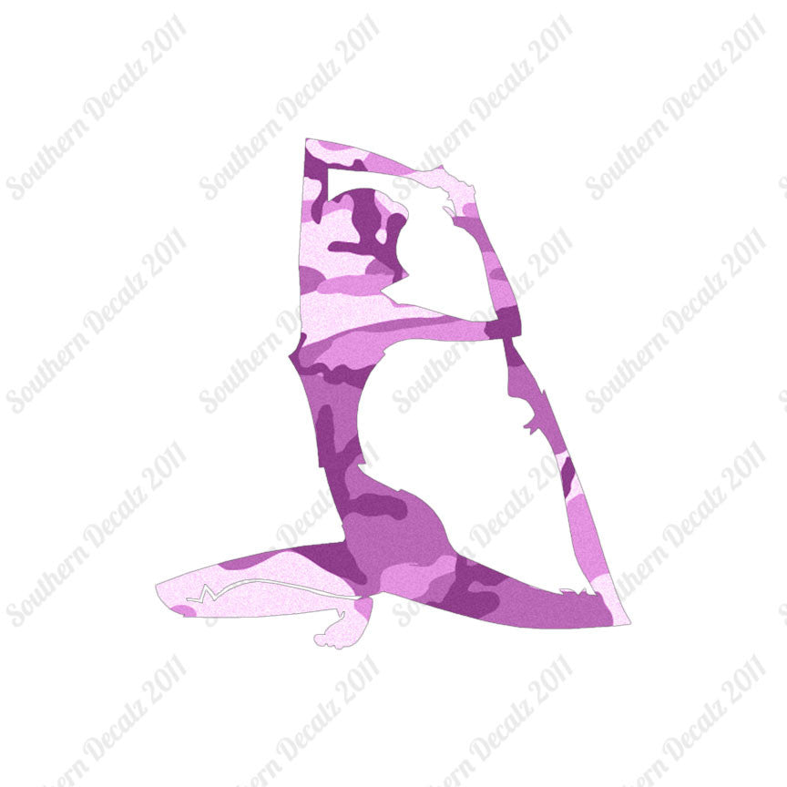 Yoga Meditation Low Lunge