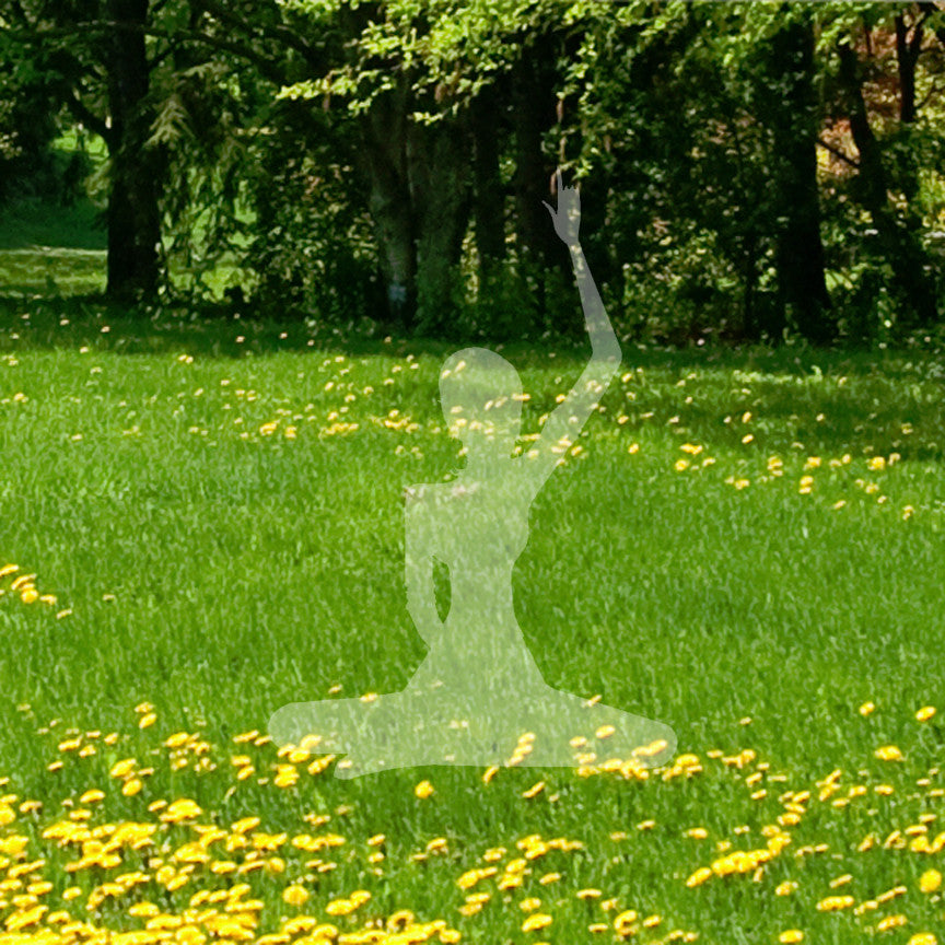 Yoga Meditation Half Lotus