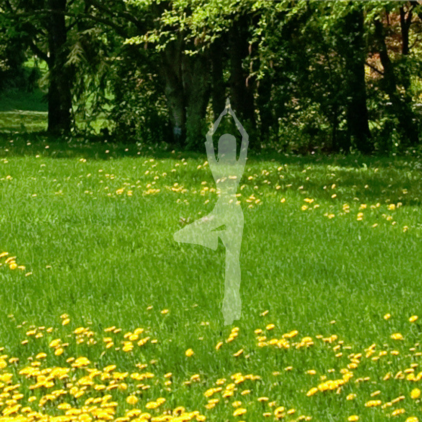 Yoga Standing Tree Stretch