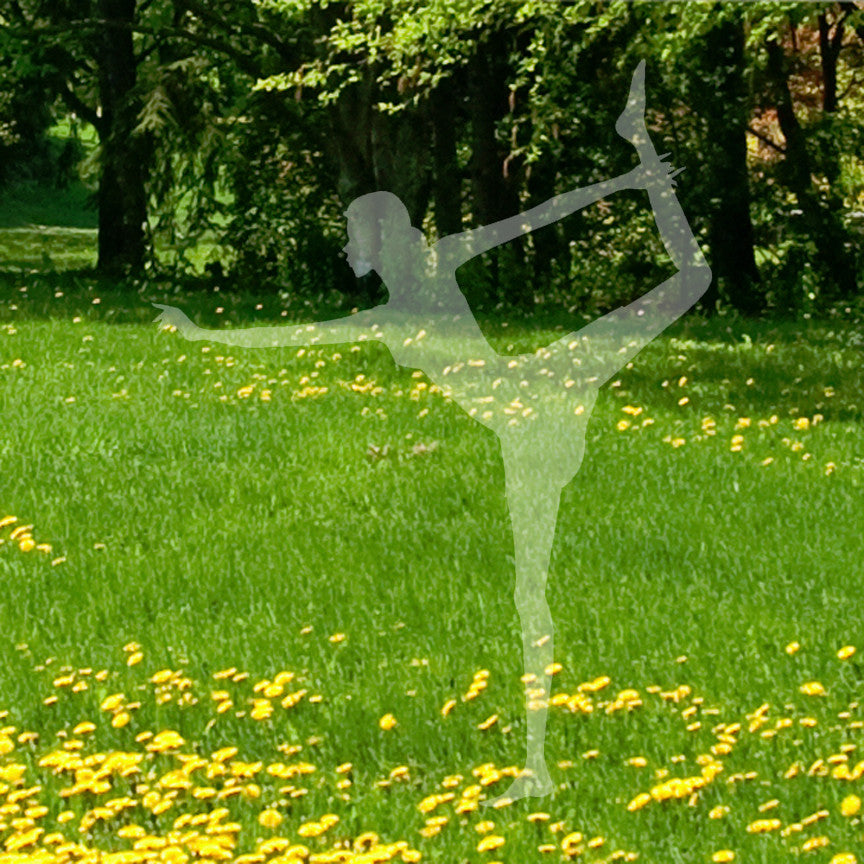 Yoga Lord Of Dance