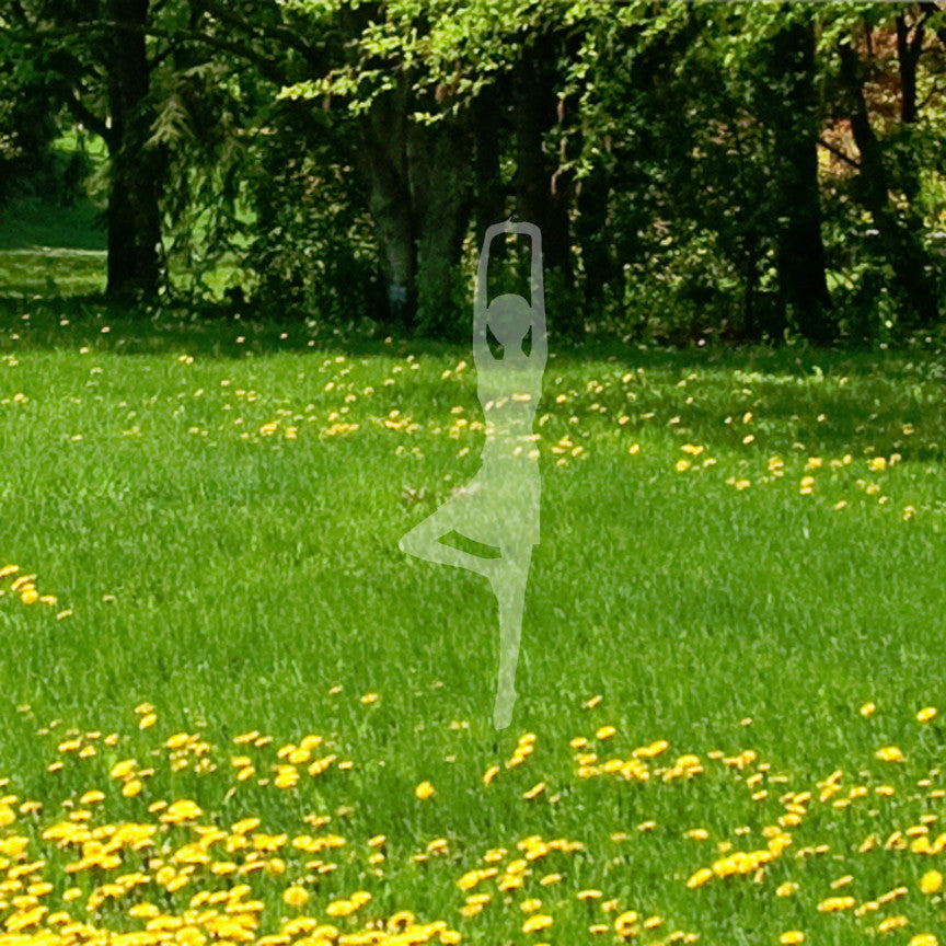 Yoga Tree Stretch