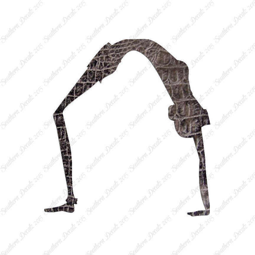 Yoga Wheel Pose