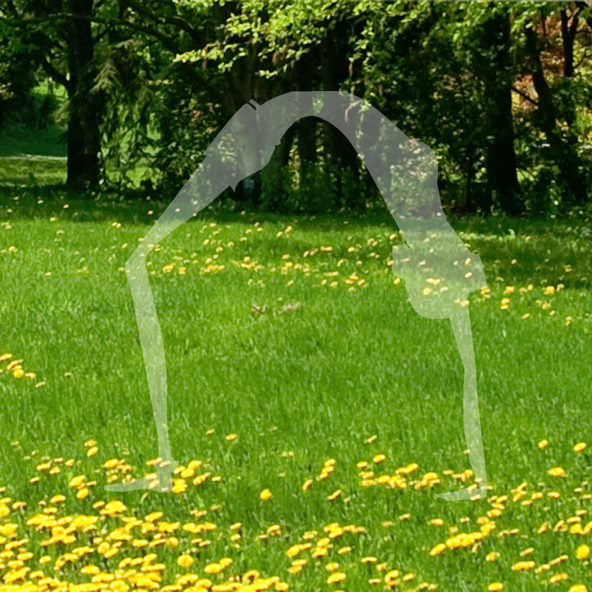 Yoga Wheel Pose