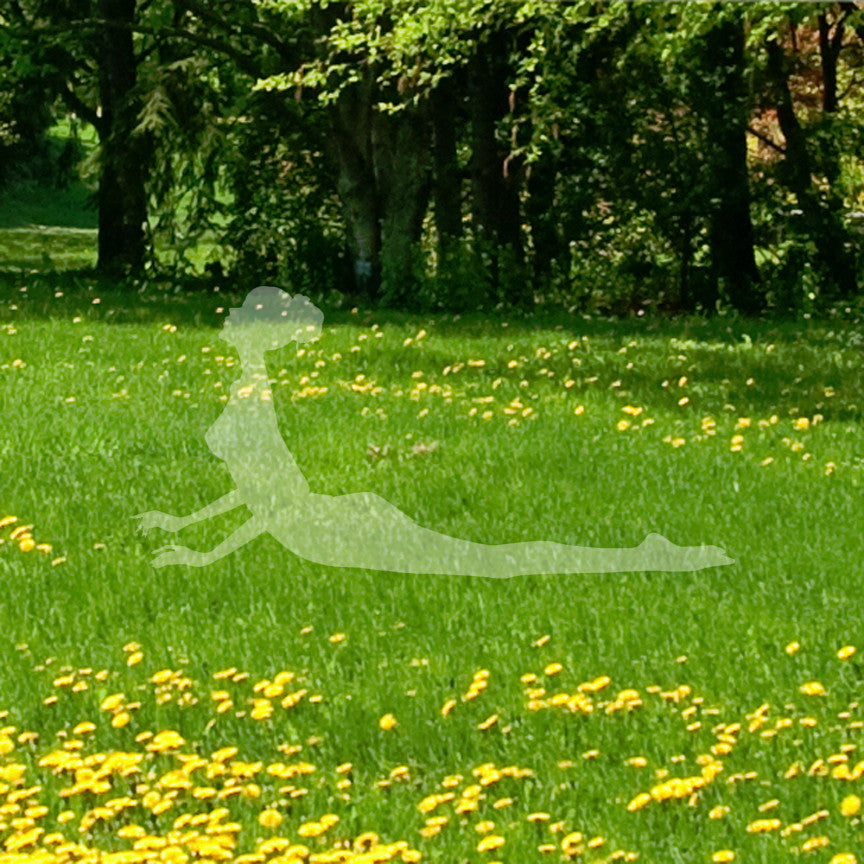 Yoga Lotus Pose