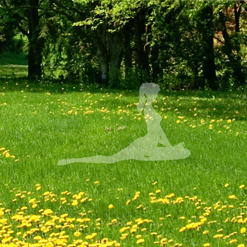 Yoga Pidgeon Pose