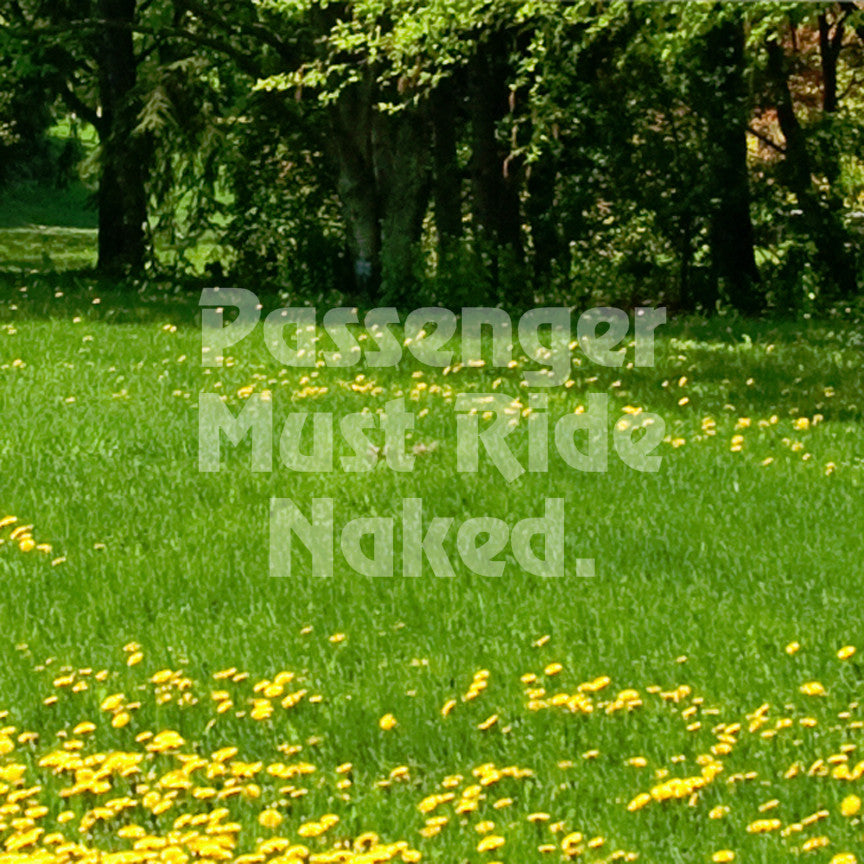 Passenger Must Ride Naked