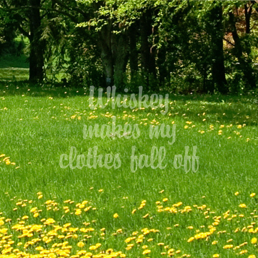 Whiskey Make Clothes Fall Off
