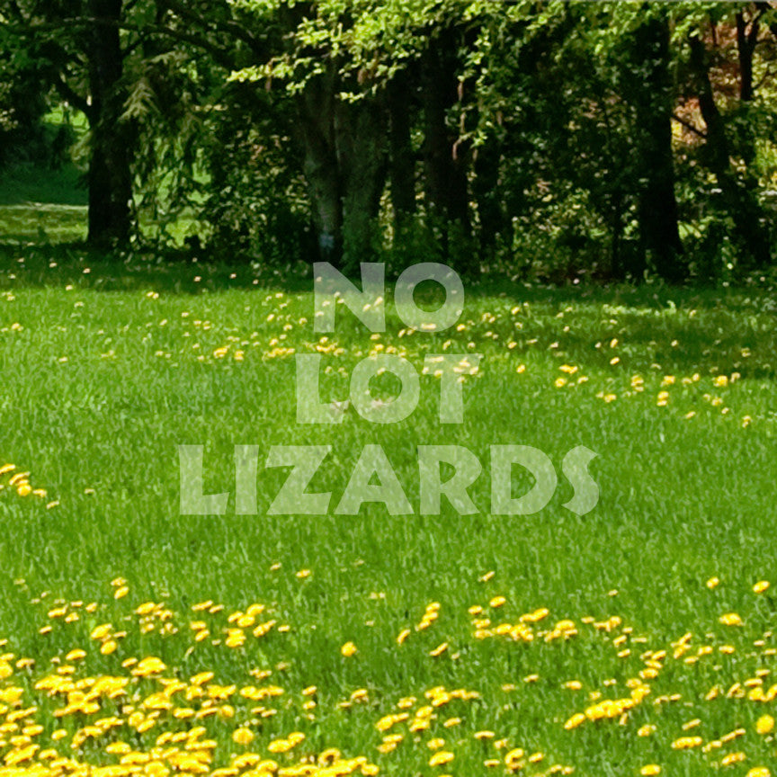 No Lot Lizards