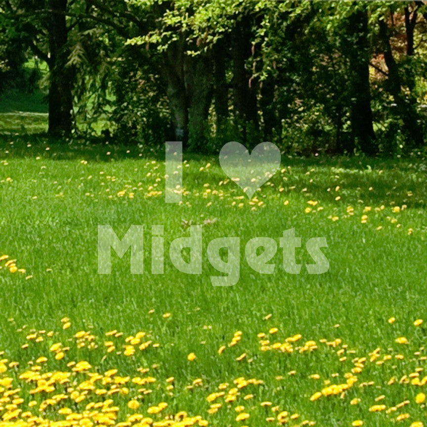 I Love Midgets Heart