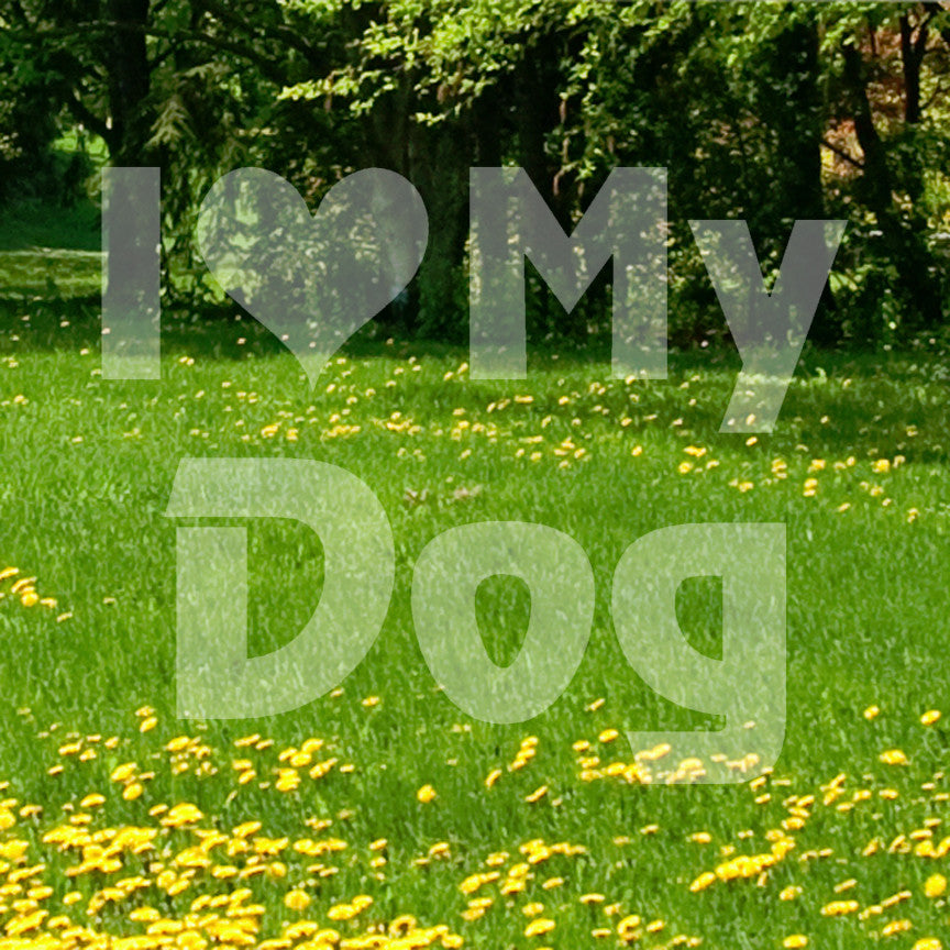 I Love My Dog Heart