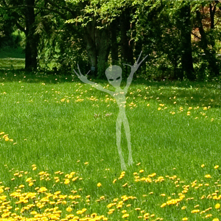 E.T. Alien Extraterrestrial