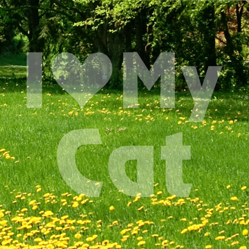 I Love My Cat Heart