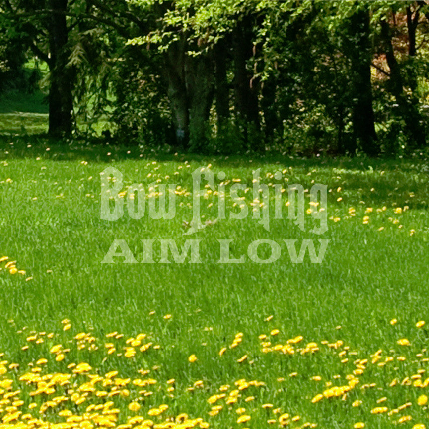 Bow Fishing Aim Low
