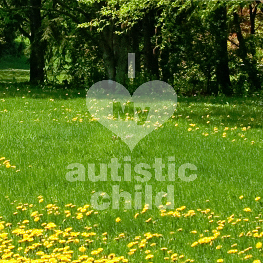 I Love My Autistic Child Heart