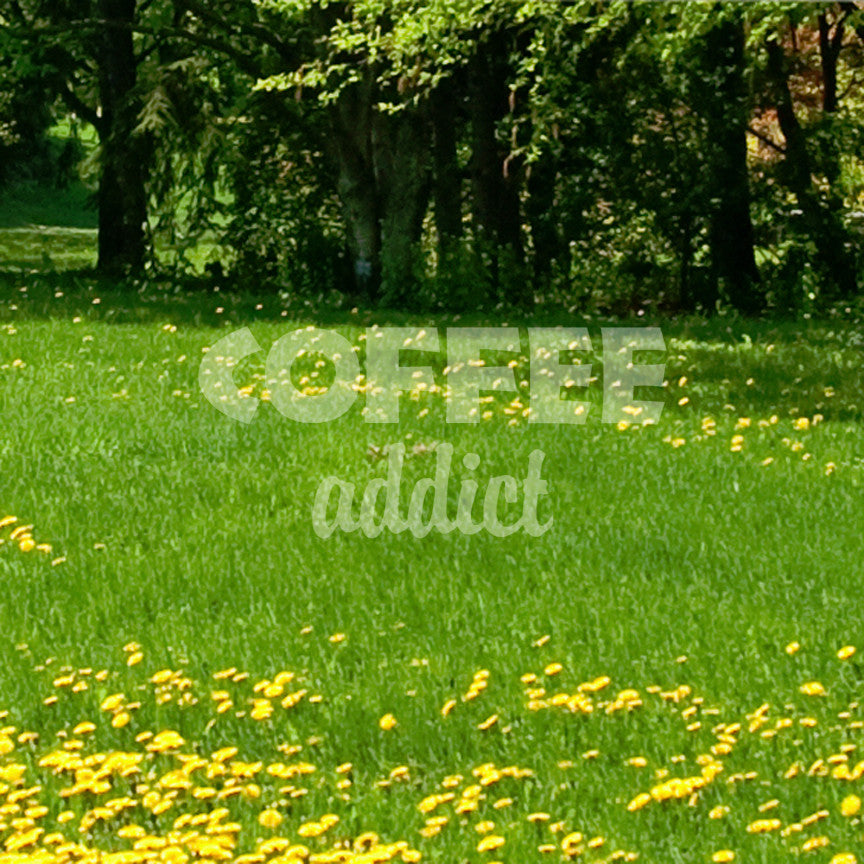 Coffee Addict