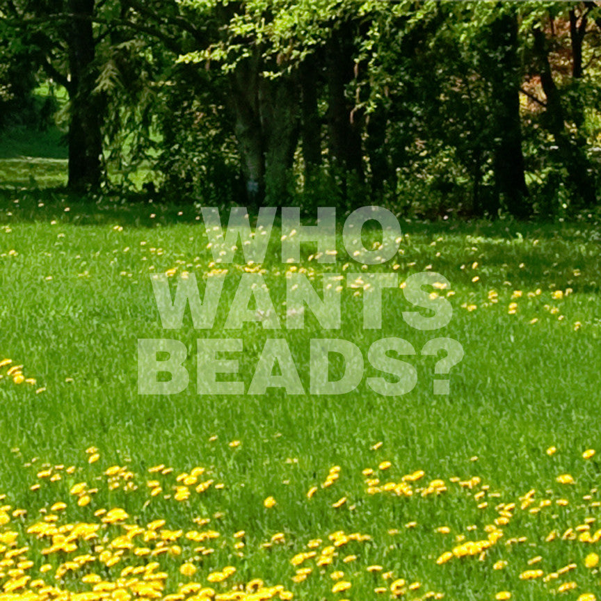 Who Wants Beads