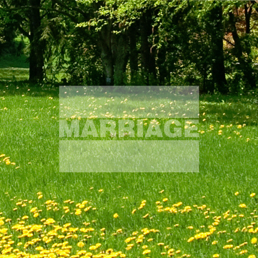 MarriageEquals Gay Rights