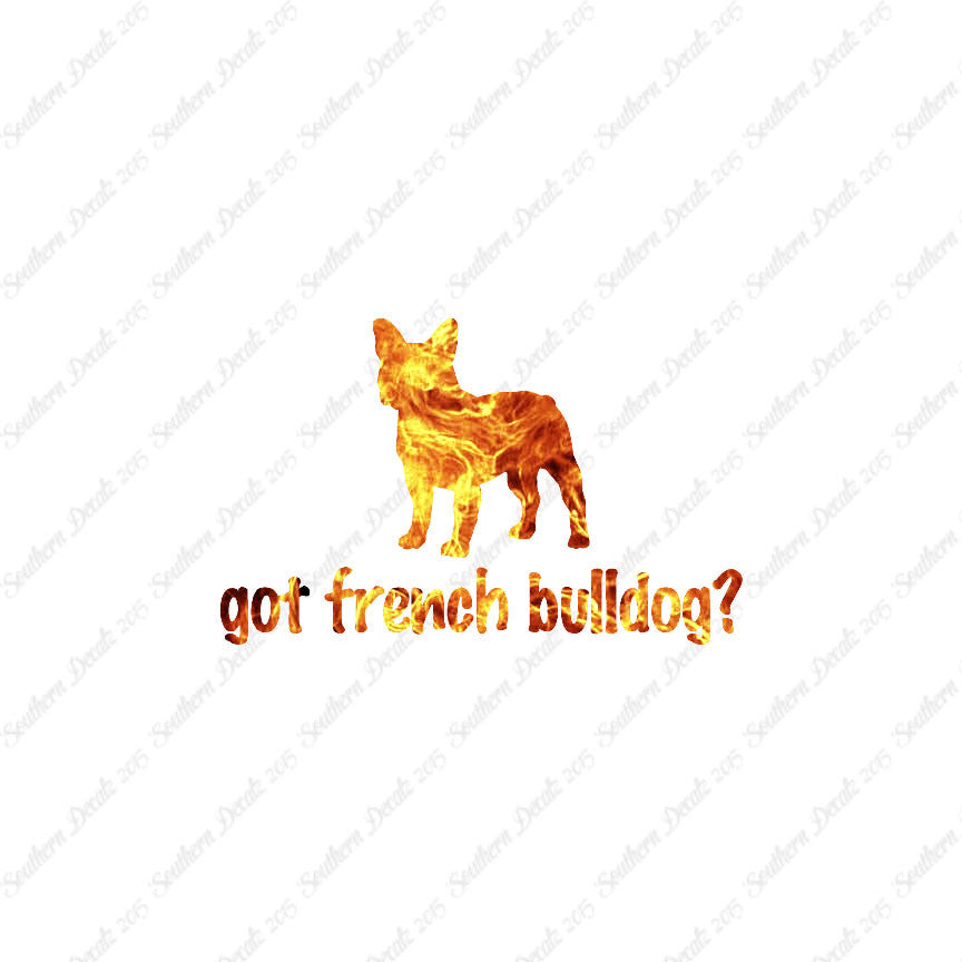 Got French Bulldog ? Dog Breed