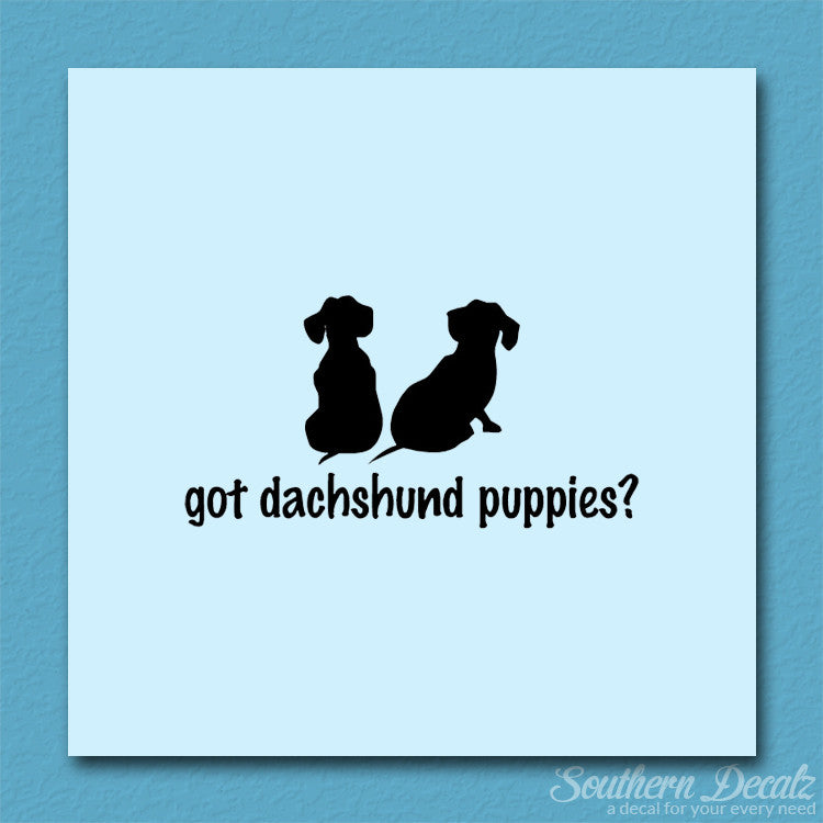 Got Dachshund Puppies ? Dog Breed