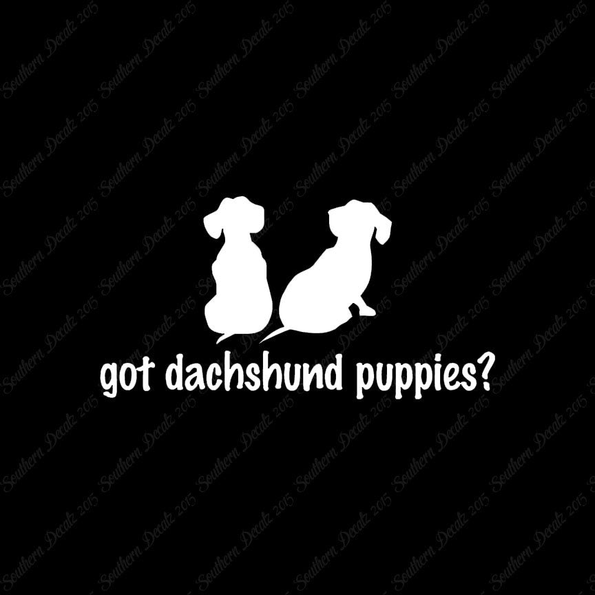 Got Dachshund Puppies ? Dog Breed