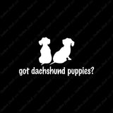 Got Dachshund Puppies ? Dog Breed