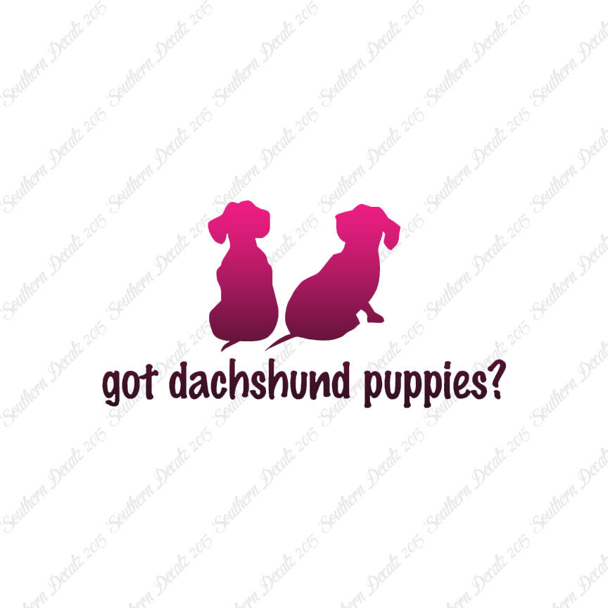 Got Dachshund Puppies ? Dog Breed