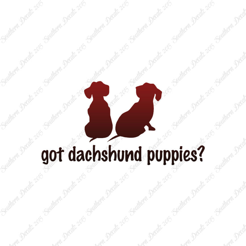 Got Dachshund Puppies ? Dog Breed