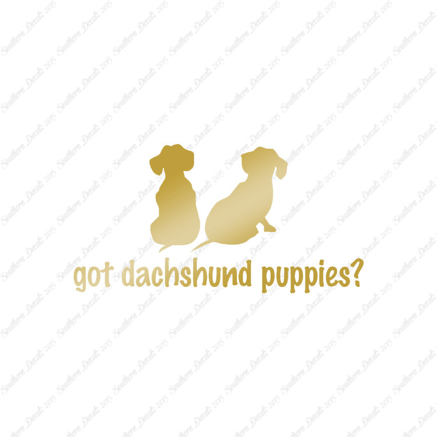 Got Dachshund Puppies ? Dog Breed