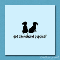 Got Dachshund Puppies ? Dog Breed