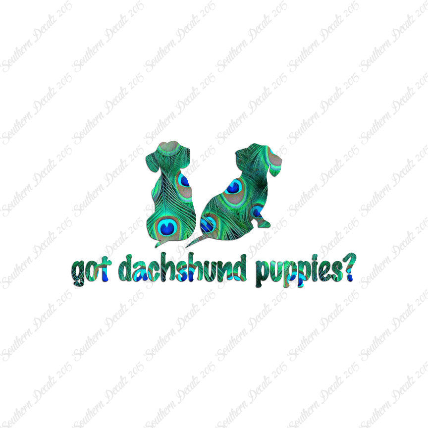 Got Dachshund Puppies ? Dog Breed