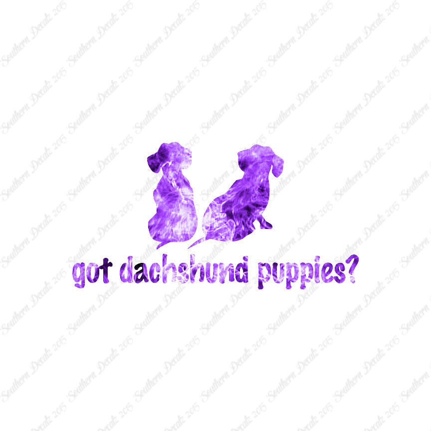 Got Dachshund Puppies ? Dog Breed