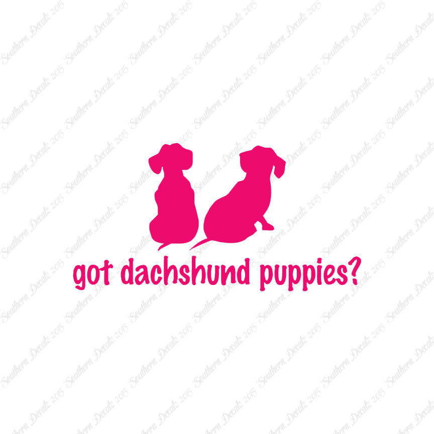Got Dachshund Puppies ? Dog Breed