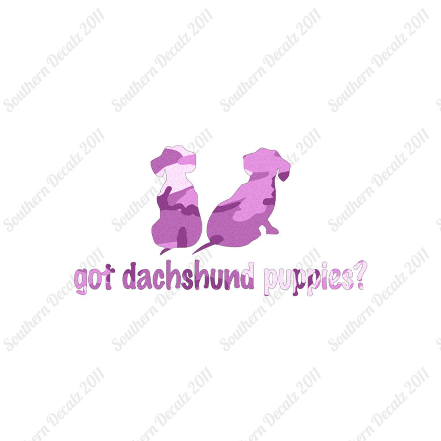 Got Dachshund Puppies ? Dog Breed