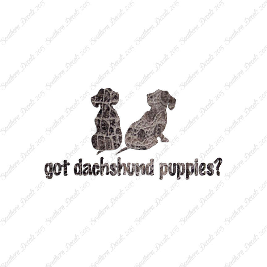 Got Dachshund Puppies ? Dog Breed