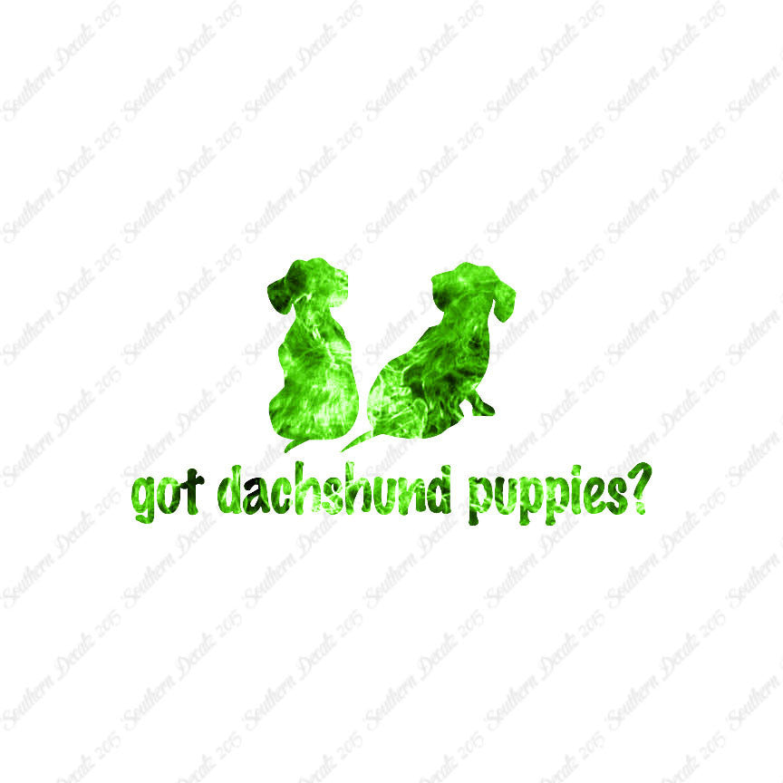 Got Dachshund Puppies ? Dog Breed