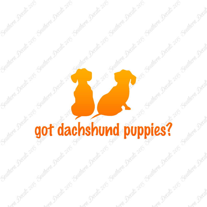 Got Dachshund Puppies ? Dog Breed