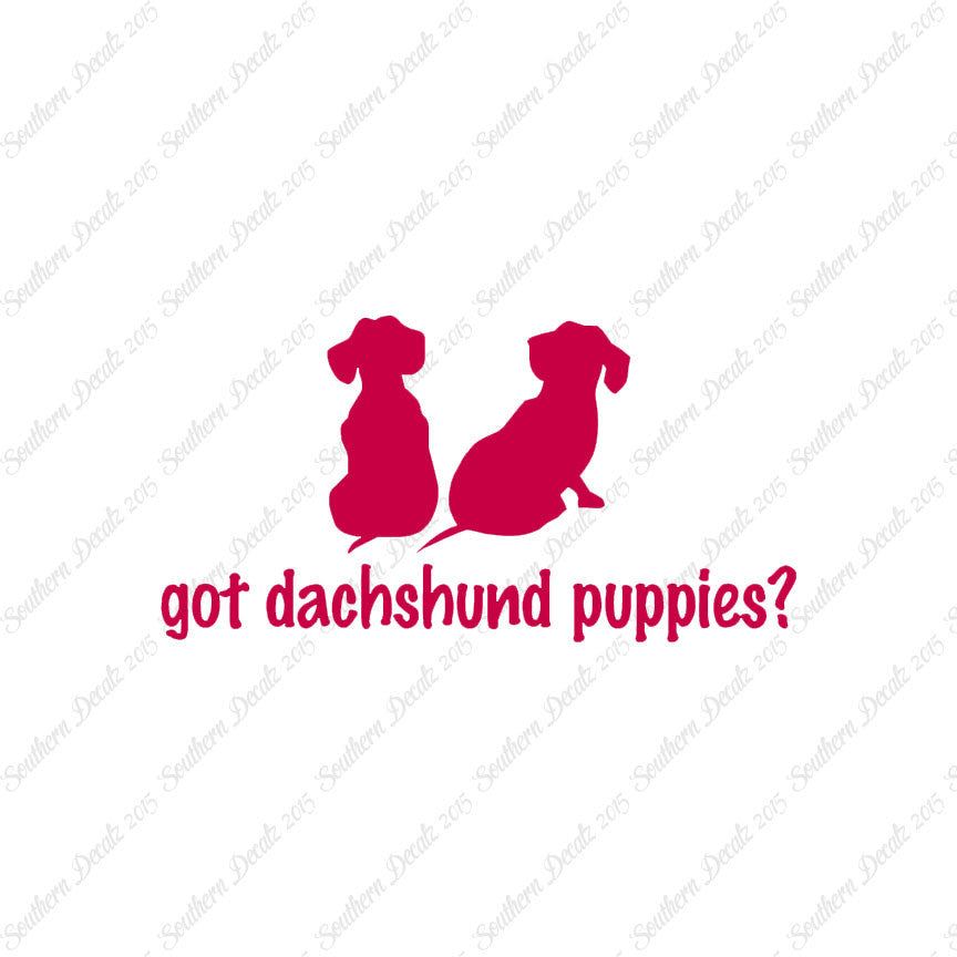Got Dachshund Puppies ? Dog Breed