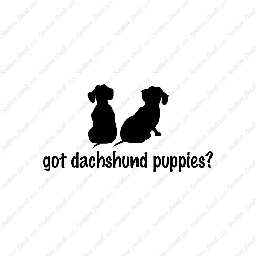 Got Dachshund Puppies ? Dog Breed