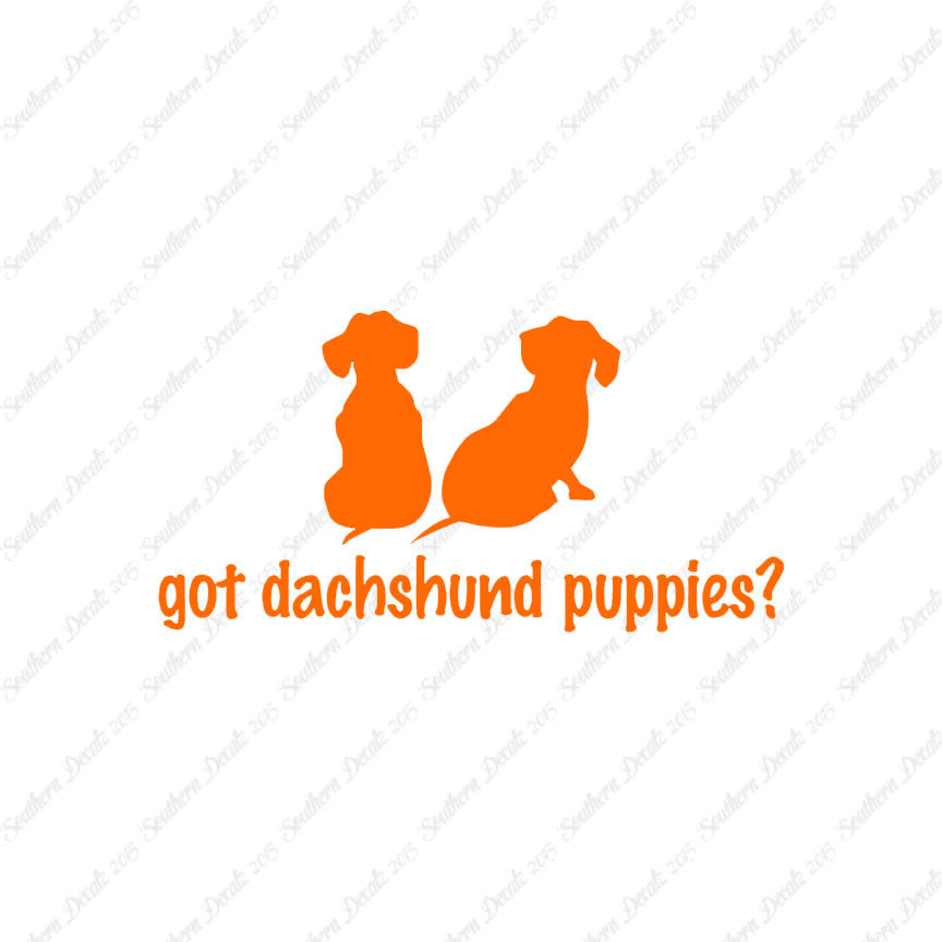 Got Dachshund Puppies ? Dog Breed