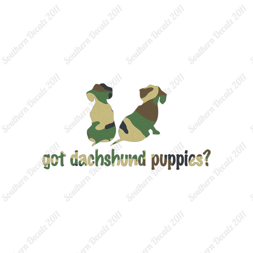 Got Dachshund Puppies ? Dog Breed