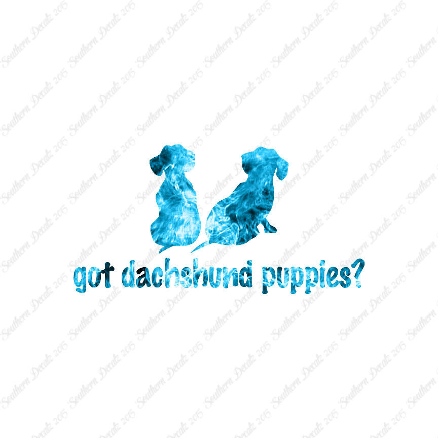 Got Dachshund Puppies ? Dog Breed
