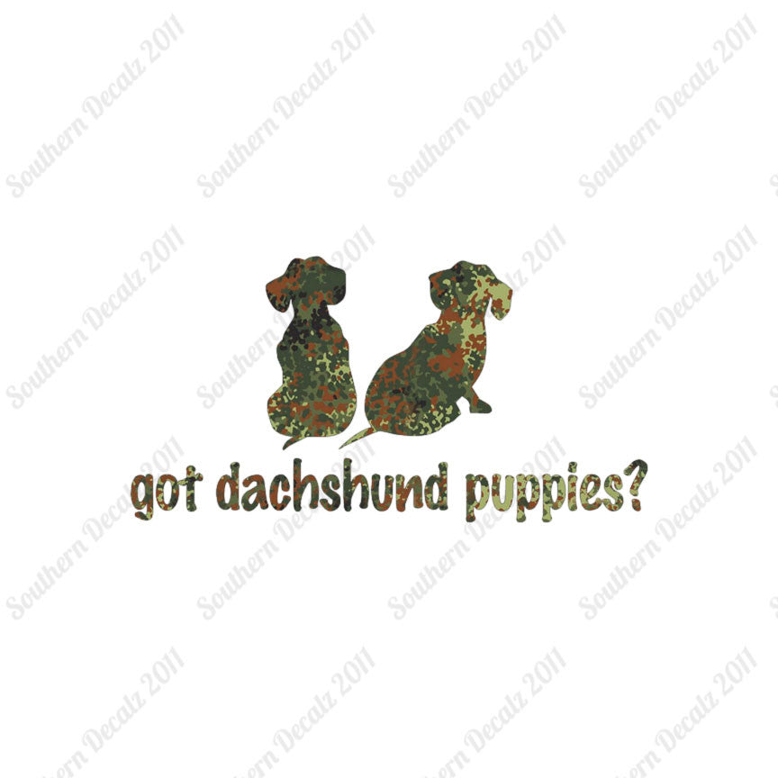 Got Dachshund Puppies ? Dog Breed