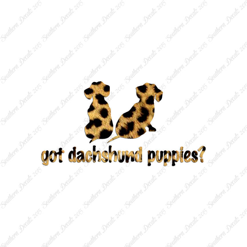 Got Dachshund Puppies ? Dog Breed