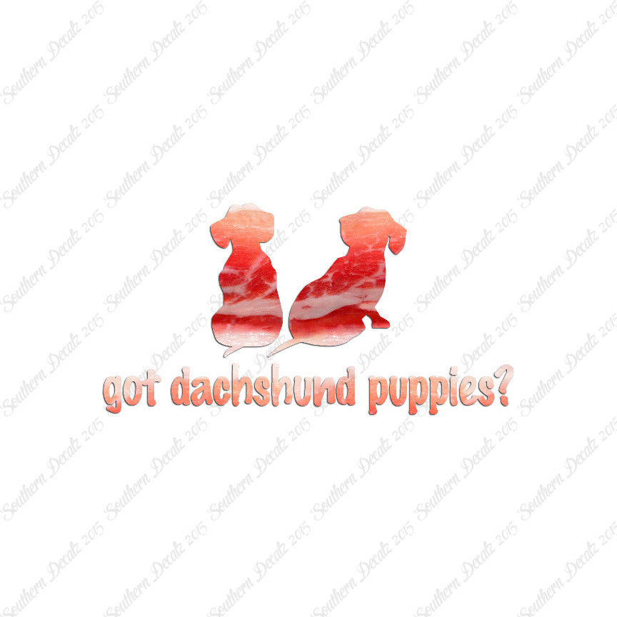 Got Dachshund Puppies ? Dog Breed