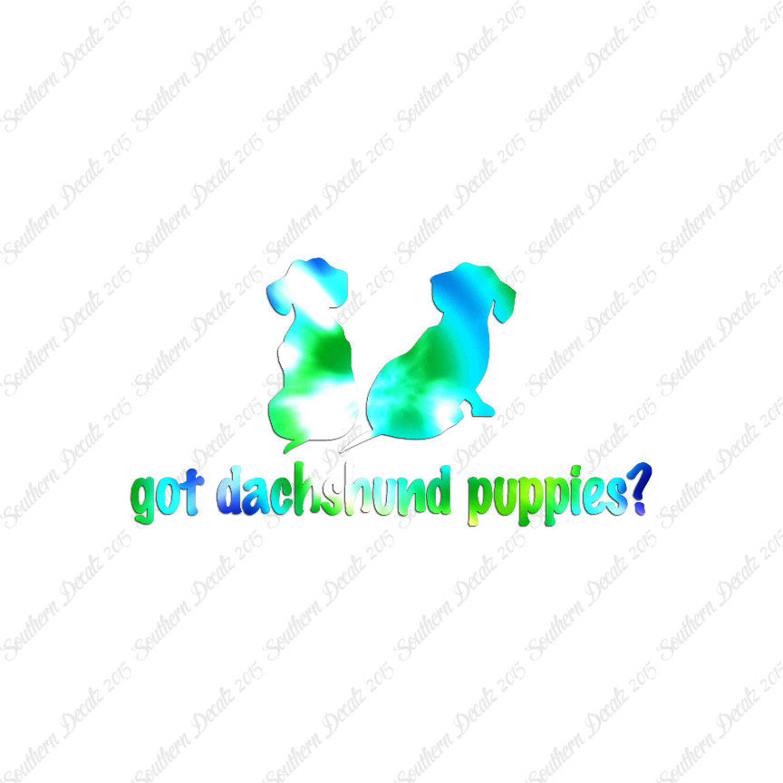 Got Dachshund Puppies ? Dog Breed