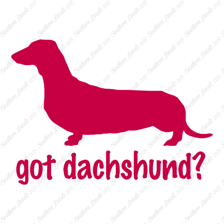 Got Dachshund ? Breed Dog